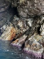 Tossa de Mar: Fahrt mit dem Glasbodenboot