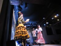 Madrid - Flamenco Show in Corrral de Moreria