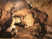 Altamira Höhlenmuseum