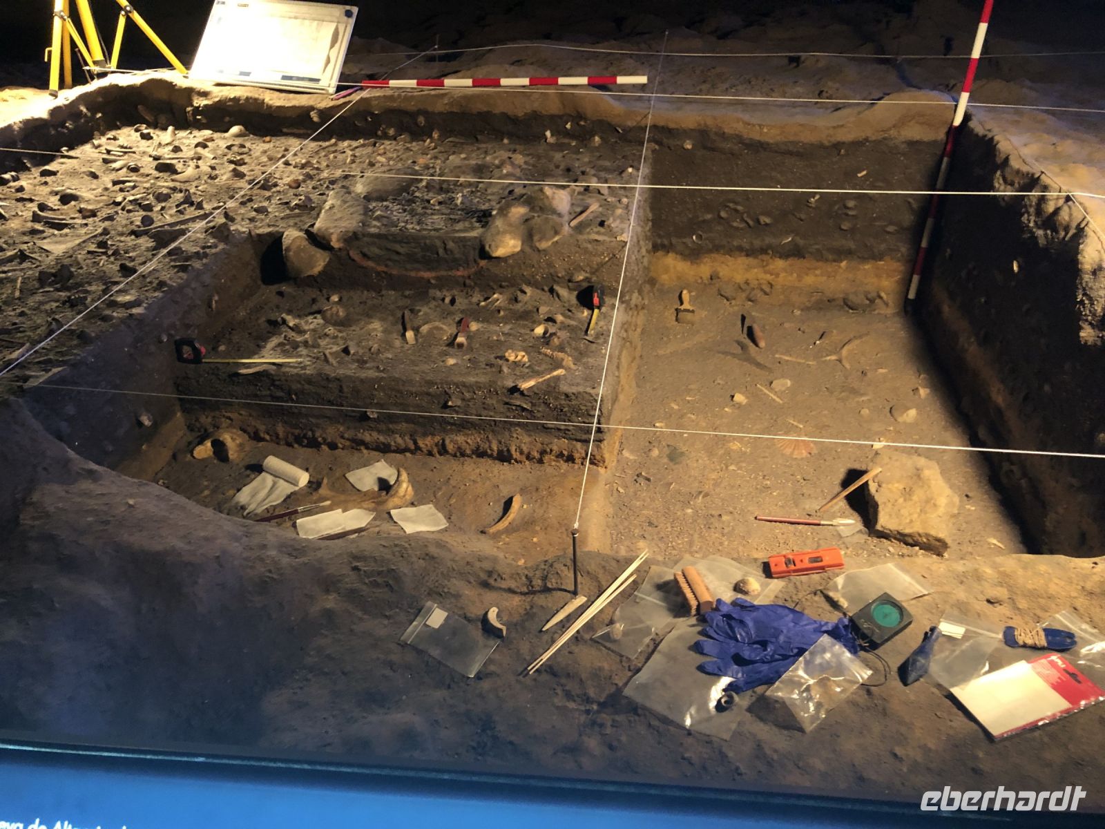 Ausgrabungsutenslilien