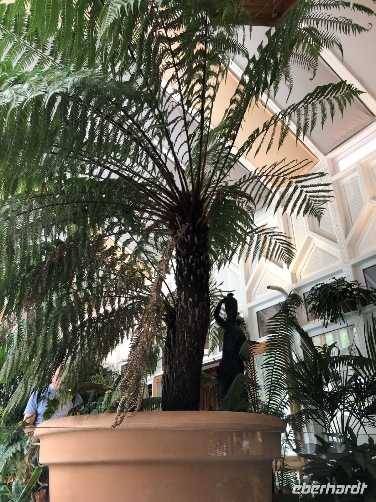 Wintergarten El Capricho de Gaudí - Comillas