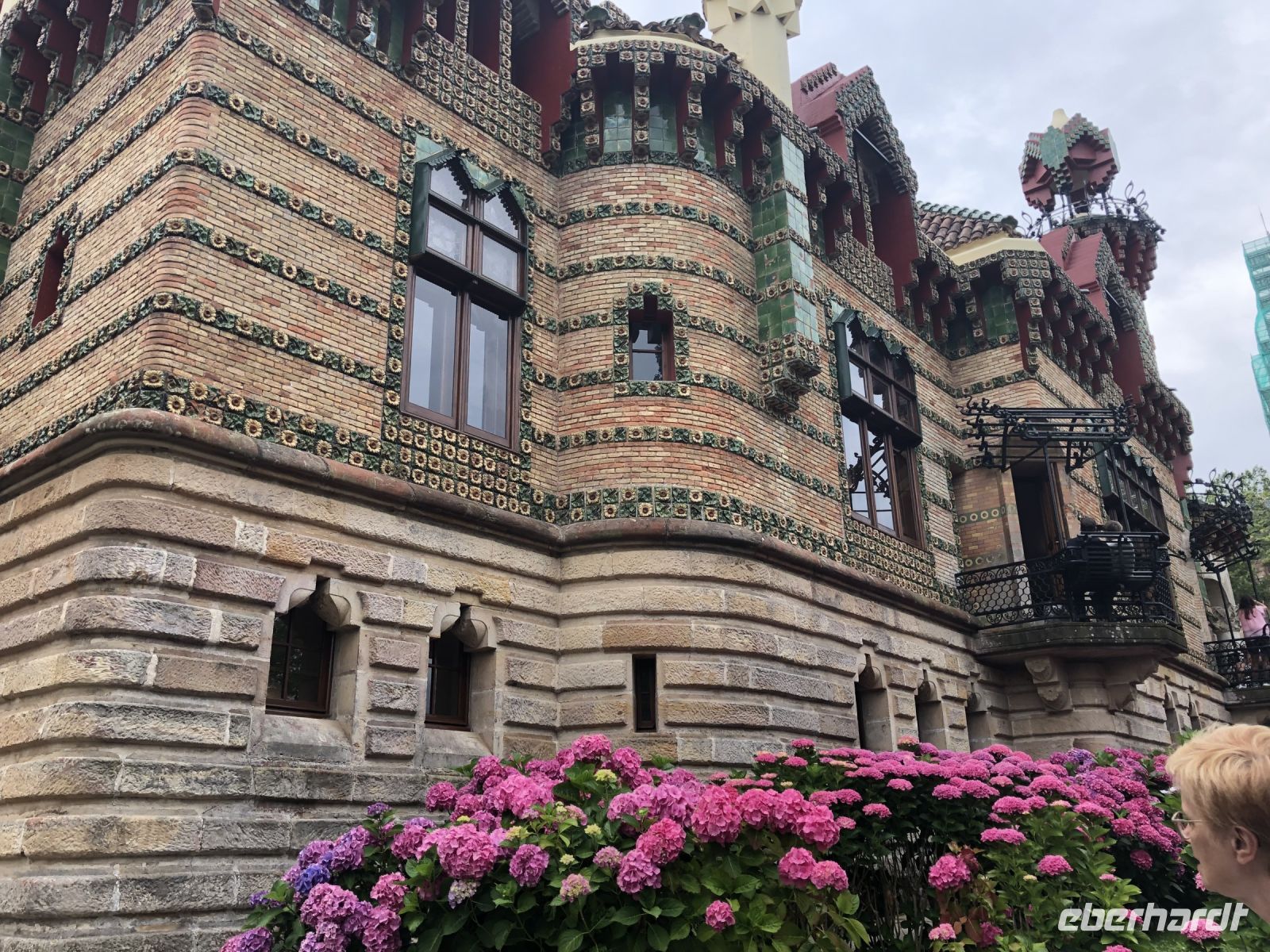 Hortensienpracht vor dem Gaudí-Haus