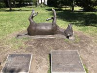 Legende vom Thermalwasser La Tojas - Neugierig?