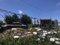 Horreo - Getreidespeicher