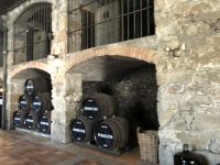 bei Burmester in Porto