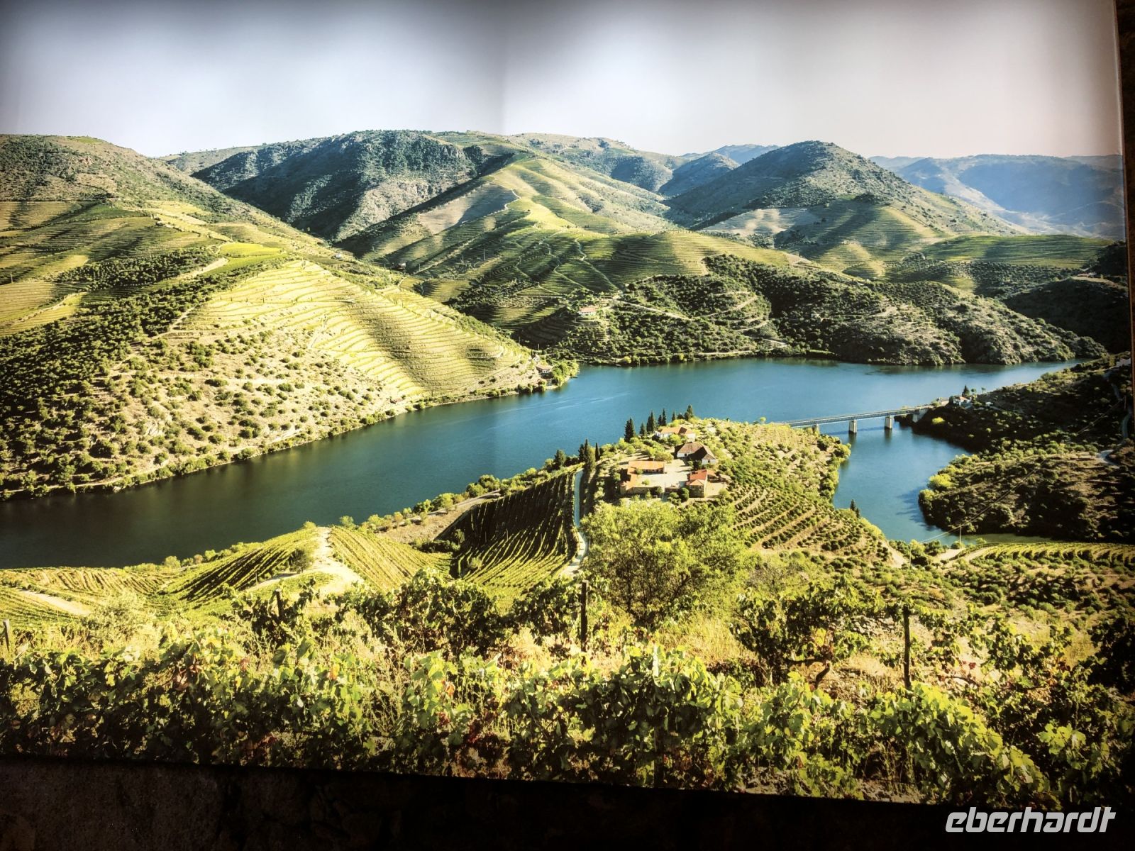 Burmester Bild der Weinberge im Norden Portugals