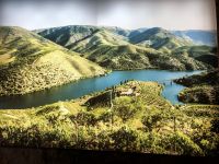 Burmester Bild der Weinberge im Norden Portugals