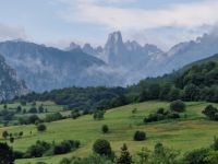 Picos de Europa (8)