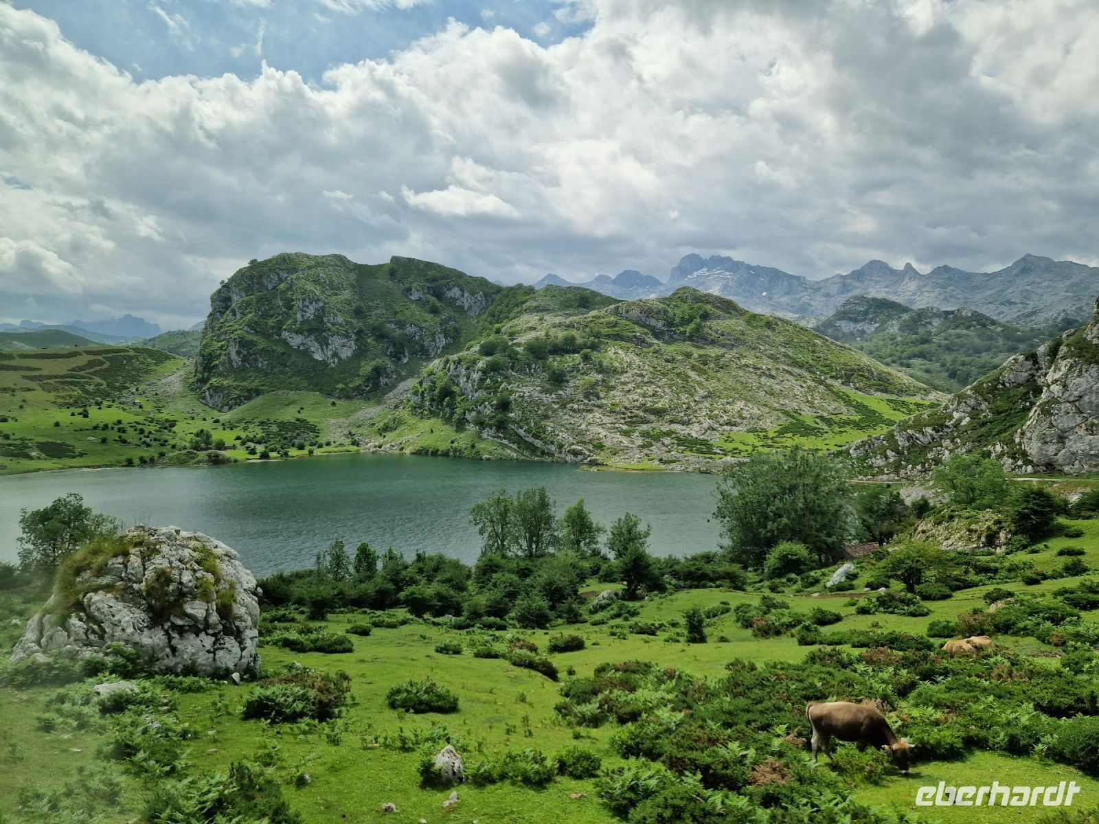 Wanderung bei den Covadonga-Seen (9)