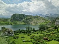 Wanderung bei den Covadonga-Seen (9)