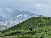 Wanderung bei den Covadonga-Seen (12)