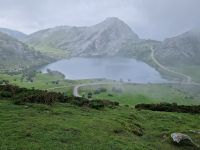 Wanderung bei den Covadonga-Seen (19)
