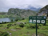 Wanderung bei den Covadonga-Seen (7)