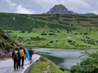 Wanderung bei den Covadonga-Seen (8)