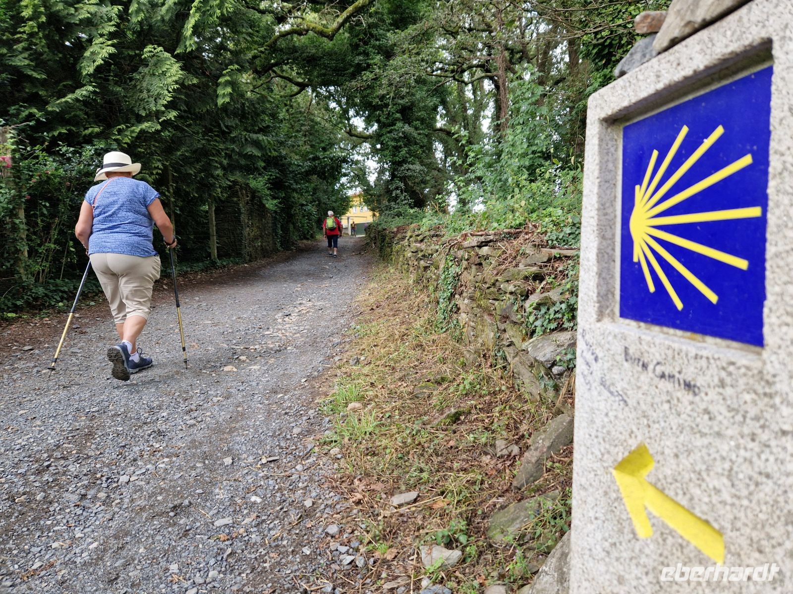 Wanderung auf dem Jakobsweg von Arzua nach O Pino (7)
