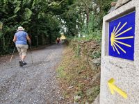 Wanderung auf dem Jakobsweg von Arzua nach O Pino (7)