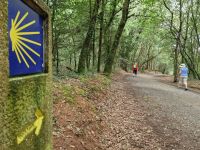 Wanderung auf dem Jakobsweg von Arzua nach O Pino (8)