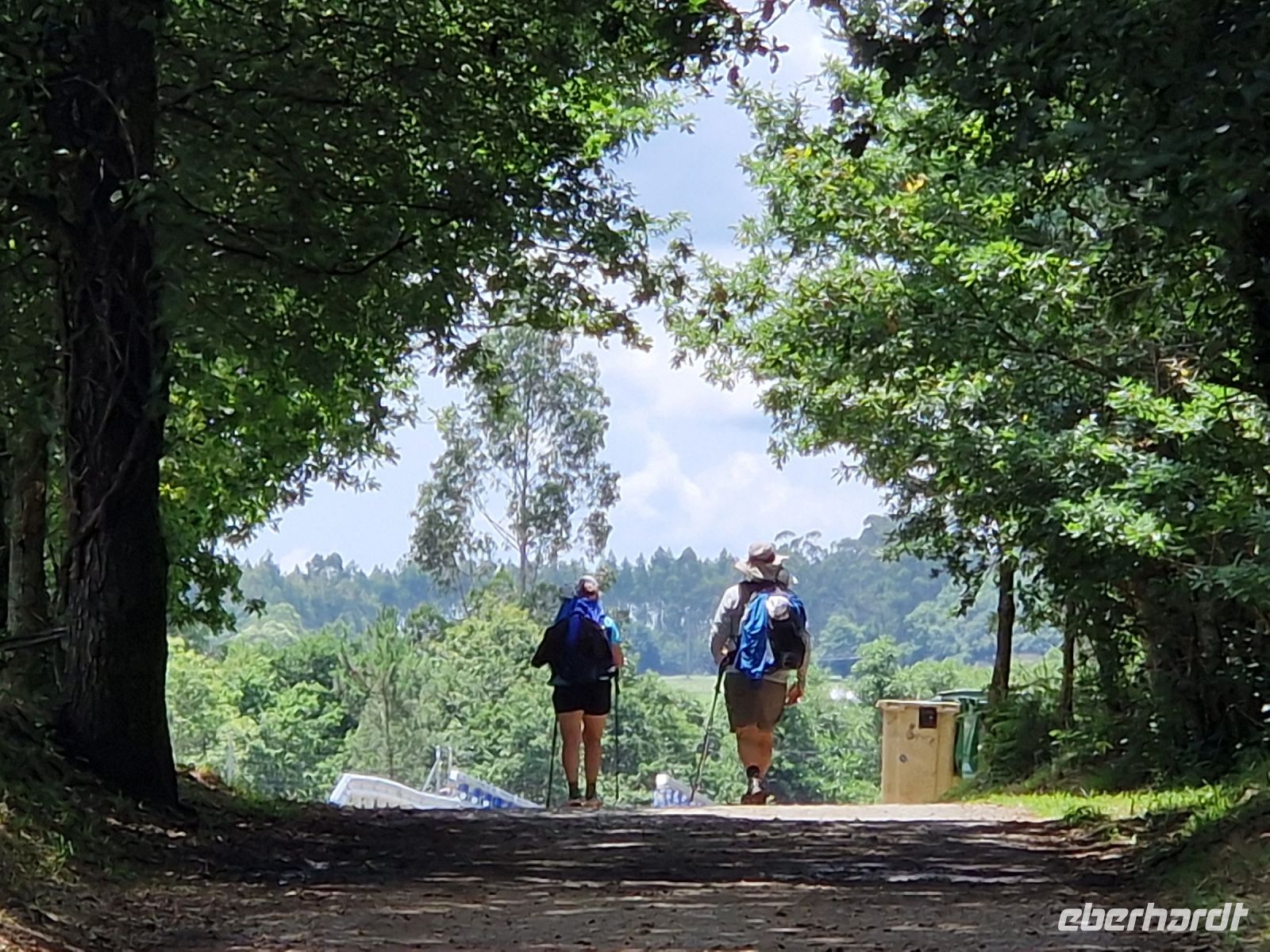 Wanderung auf dem Jakobsweg von Arzua nach O Pino (10)