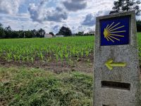 Wanderung auf dem Jakobsweg von Arzua nach O Pino (11)