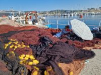 Ausflug mit Wanderung auf der Insel Ons im Nationalpark Illas Atlanticas (2)
