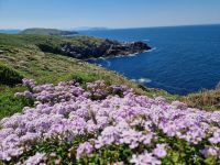 Ausflug mit Wanderung auf der Insel Ons im Nationalpark Illas Atlanticas (8)