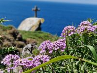 Ausflug mit Wanderung auf der Insel Ons im Nationalpark Illas Atlanticas (11)