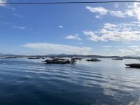 Muschelzucht - Plattformen