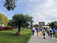 durch den Olivenhain-Park in Porto