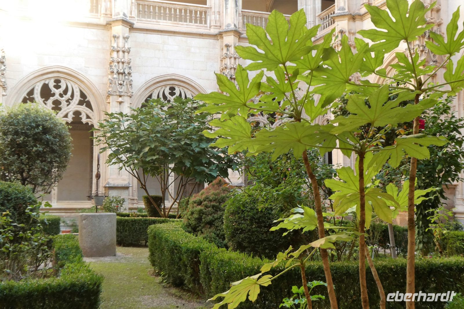 im Kreuzgang des Franziskanerklosters