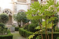 im Kreuzgang des Franziskanerklosters