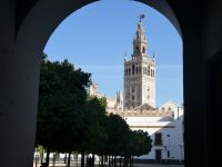 Blick auf La Giralda der Kathedrale von Sevilla