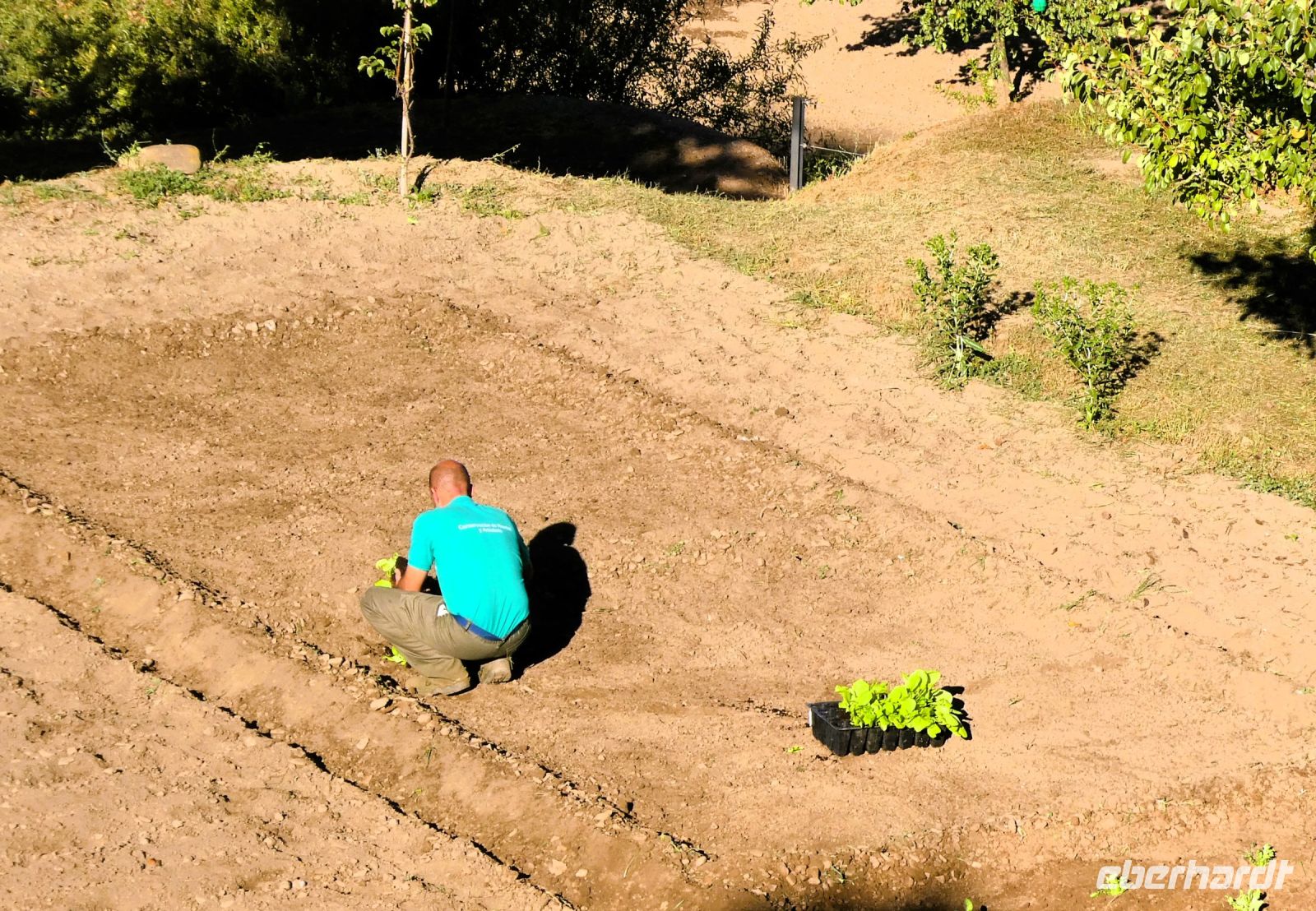 40 Gärtner sind am Werk