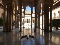 Blick in den Löwenhof der Alhambra