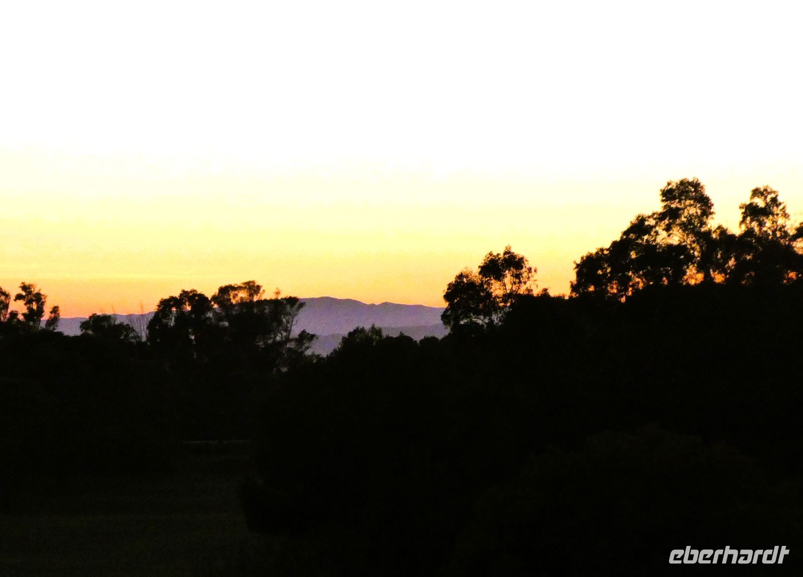 Abendstimmung im Albufera Park