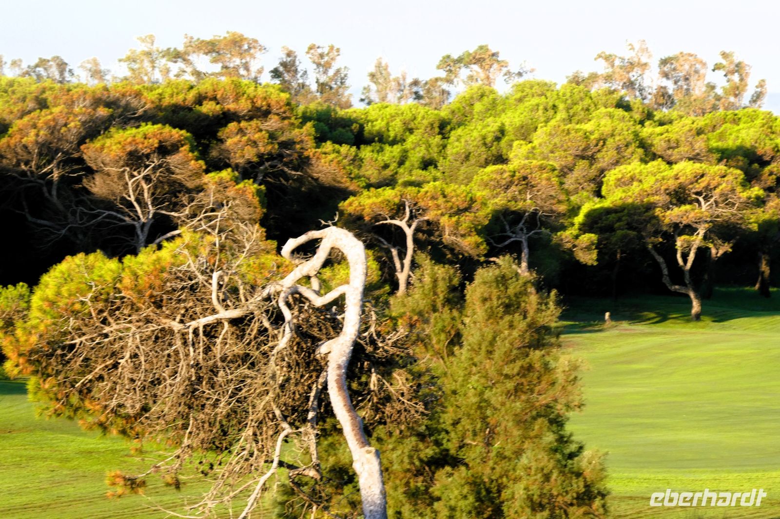 Abendstimmung im Albufeira-Park