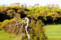 Abendstimmung im Albufeira-Park