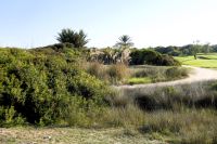 Golf und Natur am Meer