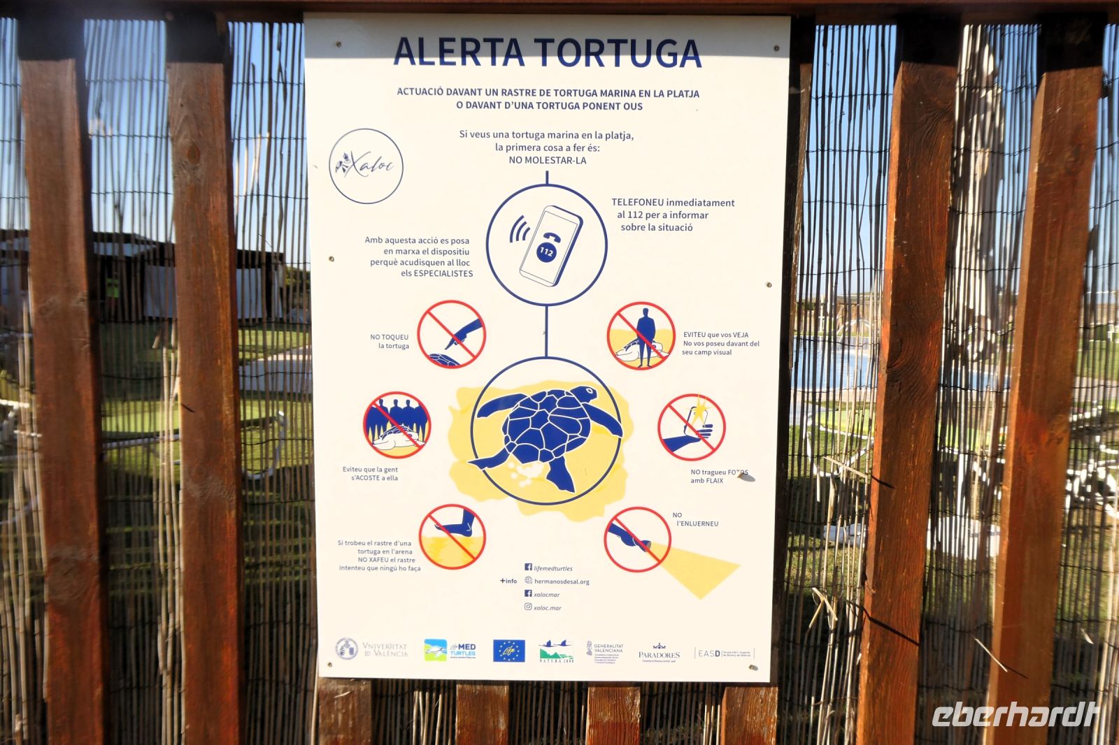 was mache ich wenn mir eine Schildkröte begegnet