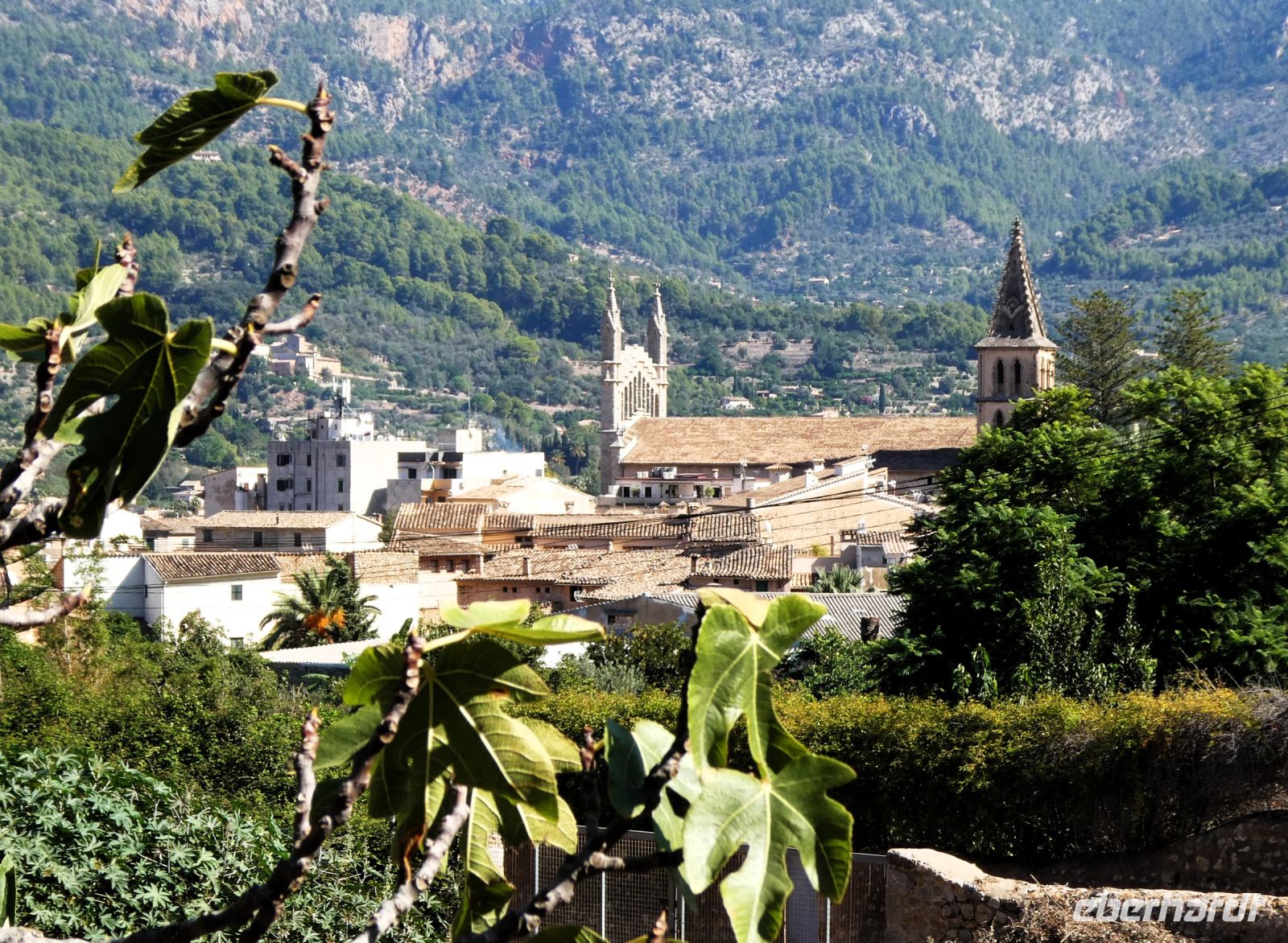 Kathedrale von Soller