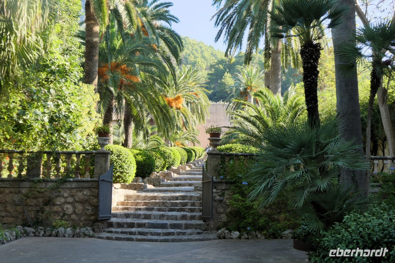 hinauf zur grünen Pracht