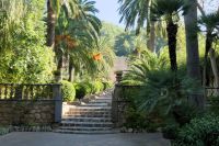 hinauf zur grünen Pracht