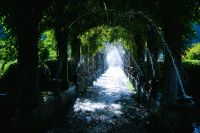 Wasser als gestaltendes und kühlendes Element