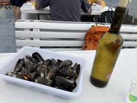 Miesmuschel-Verkostung während der Bootsfahrt