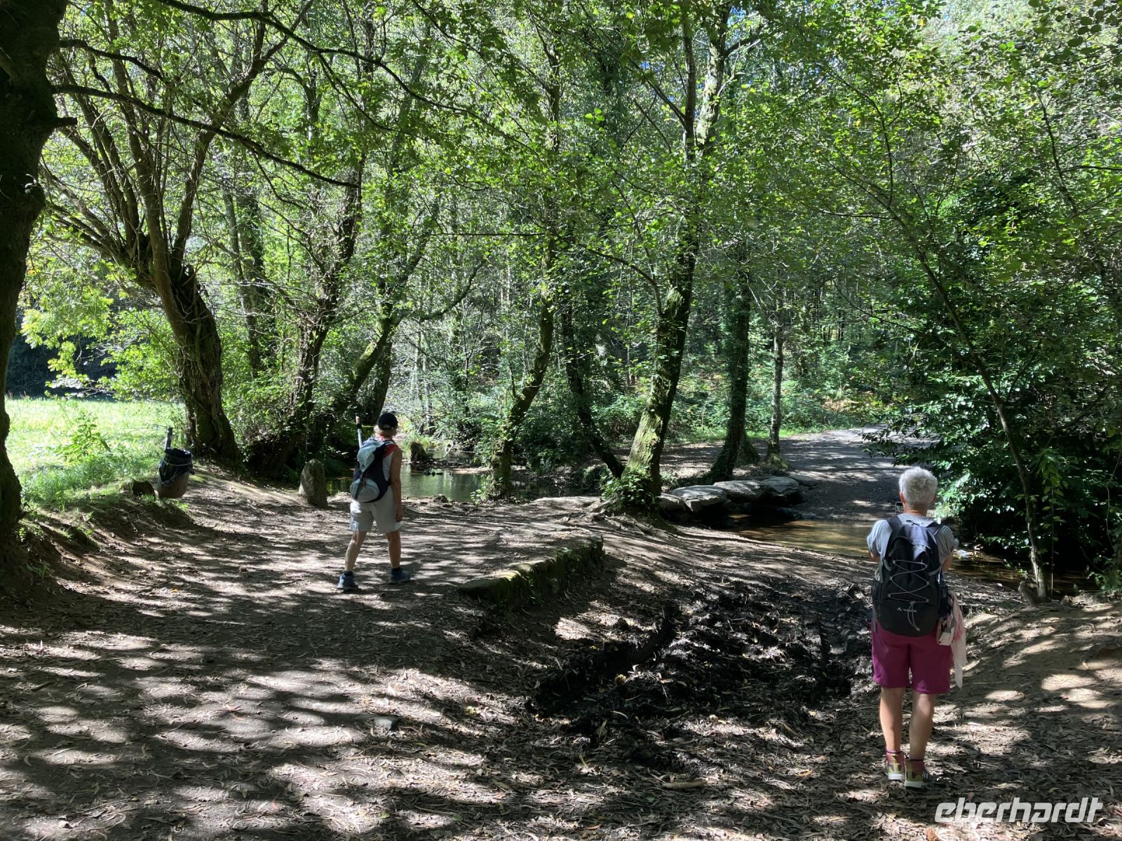 auf dem Jakobsweg - Camino Frances