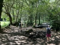 auf dem Jakobsweg - Camino Frances