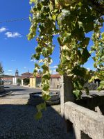 Bent auf dem Camino Frances