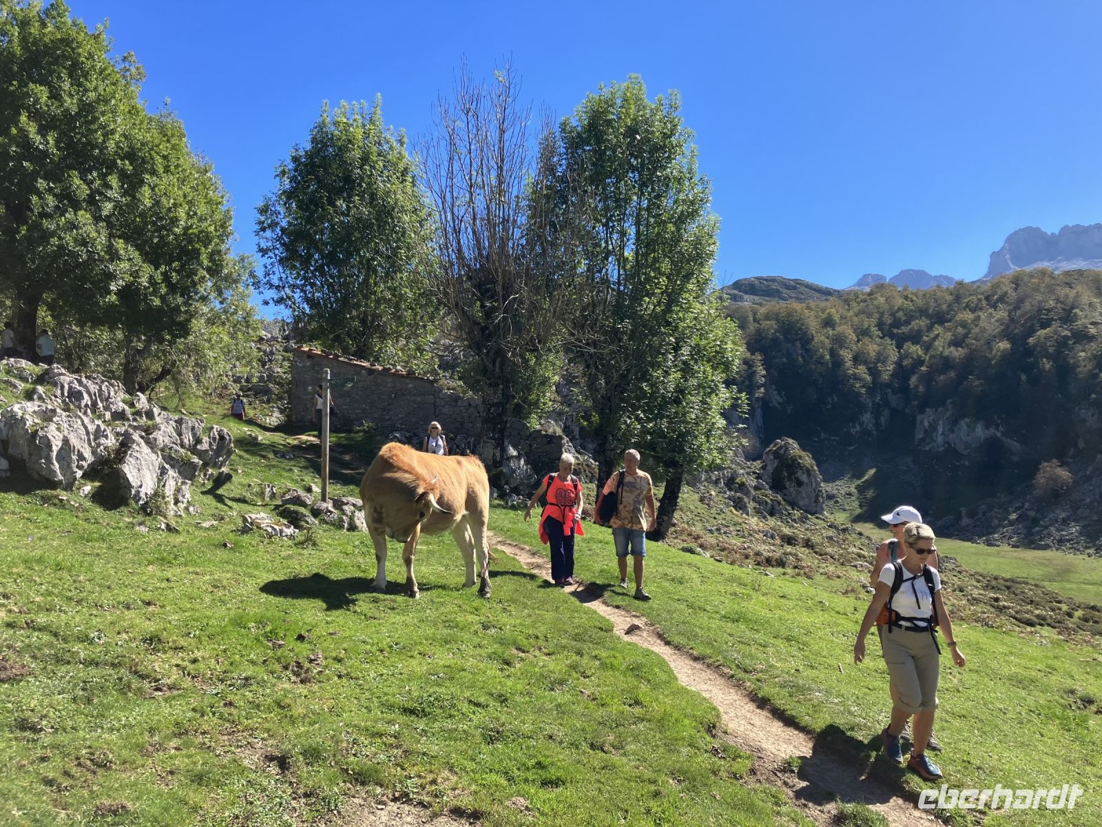 wie in den Alpen - Picos de Europa