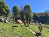 wie in den Alpen - Picos de Europa