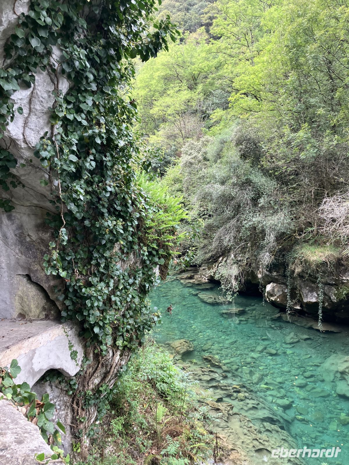vor der Käserei ein glasklarer Gebirgsbach