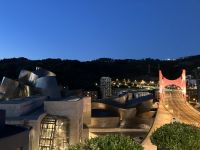 nächtlicher Blick auf das Guggenheim Museum Bilbao